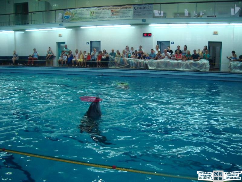 Мои летние путешествия!39629