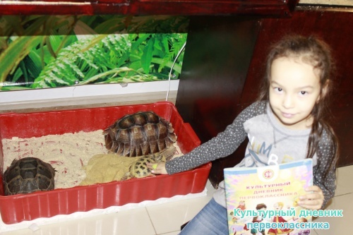 Мадагаскар выставка18105