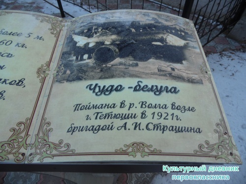 тетюши3302