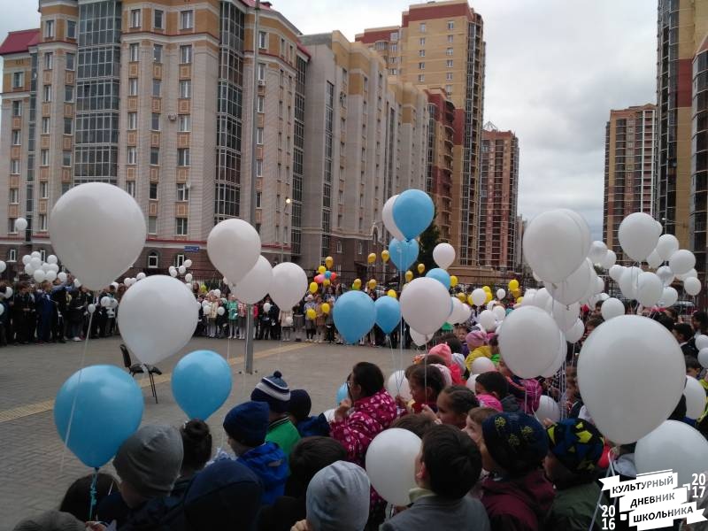 голубь14