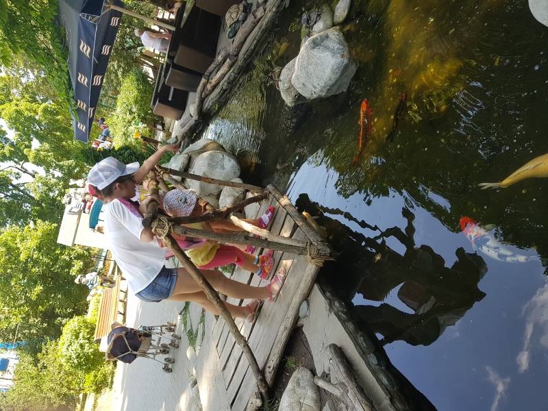 20180621_120558