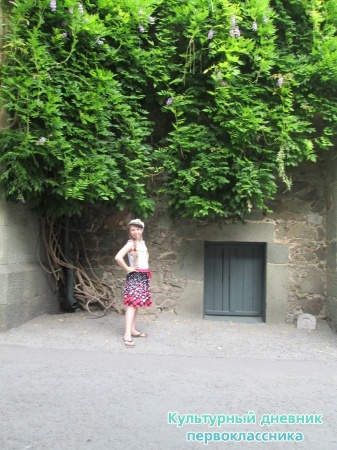 2013 014.JPG