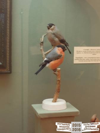 DSCN6819.JPG