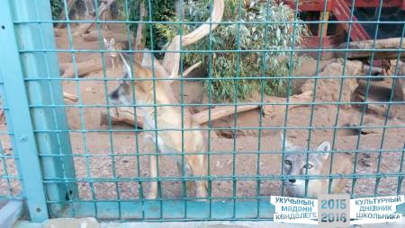 IMG_20160828_082558