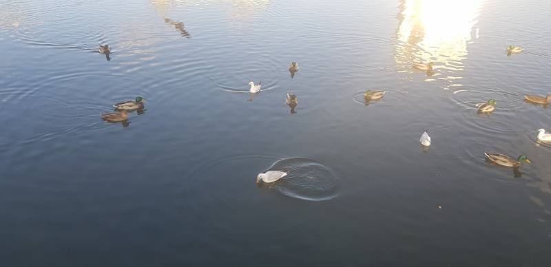 20191025_144510