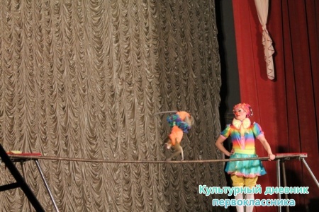 IMG_4458.JPG