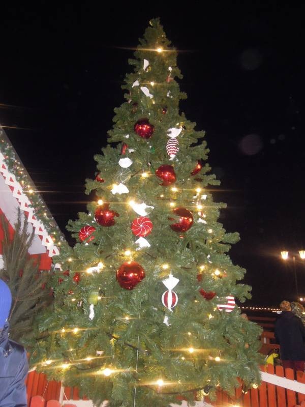 DSCN6726.JPG