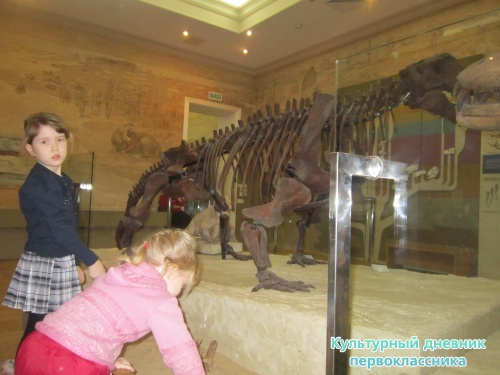 Мои путешествия11571