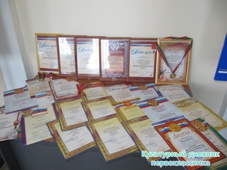 Пестречинская звездочка24345
