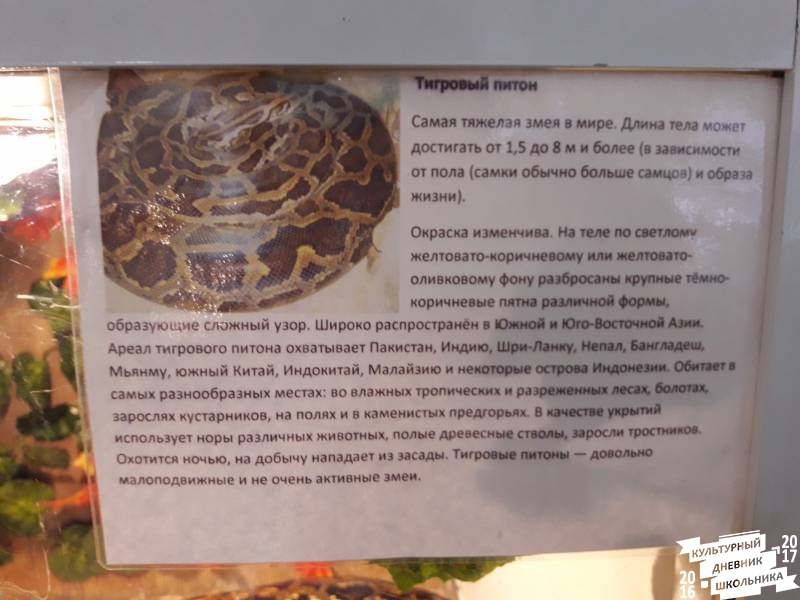 Выставка зоопарк "Живые тропики"60547