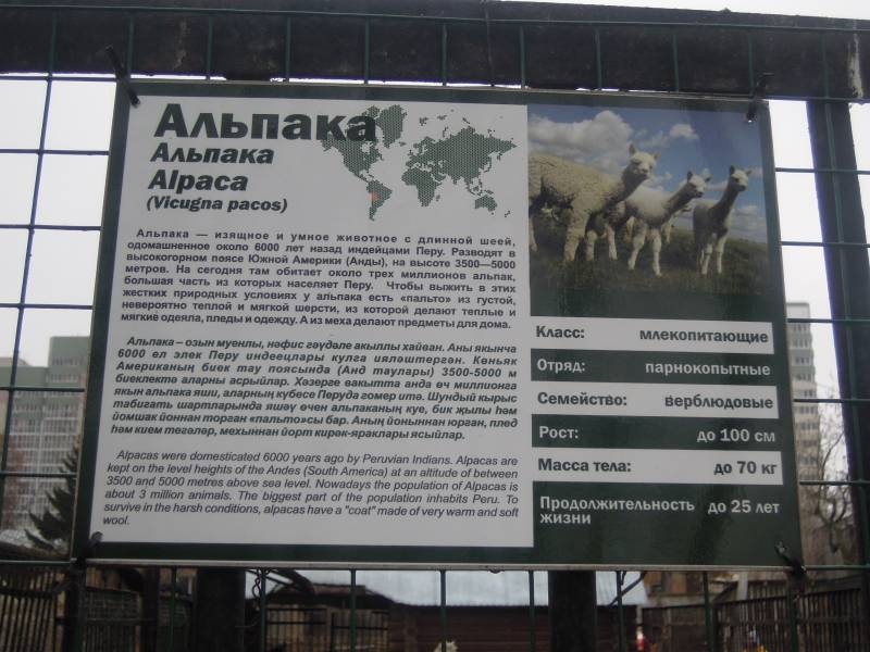 DSCN4885.JPG