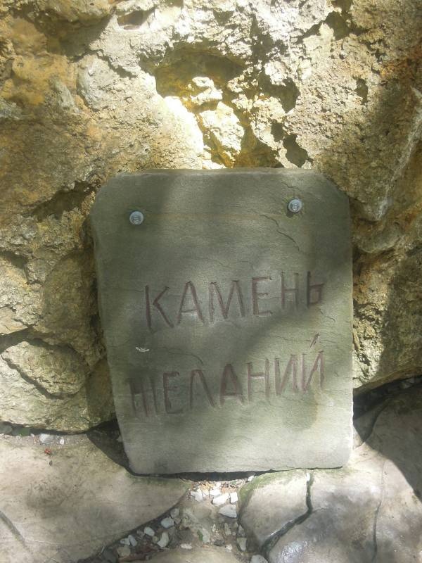 DSCN0363.JPG