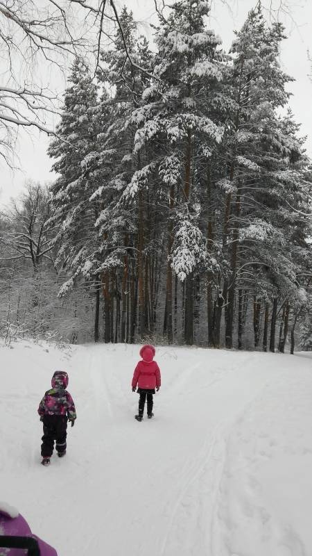 IMG_20171206_134532