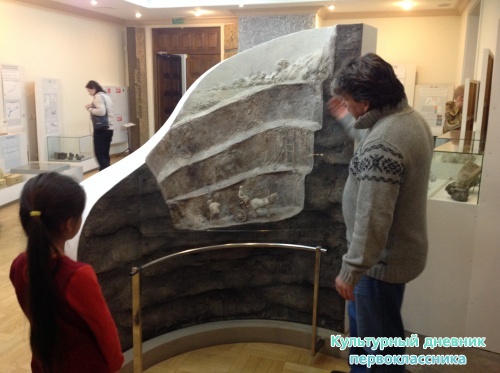 Музей естественной истории16825