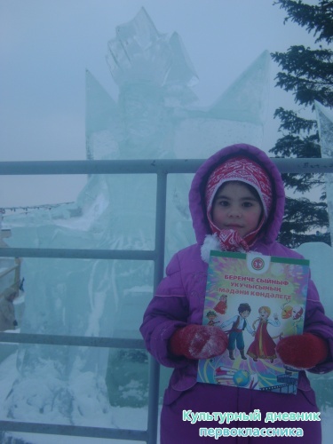 я и дневник17297