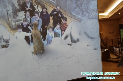 Новый экспонат «Ледниковый период»16486