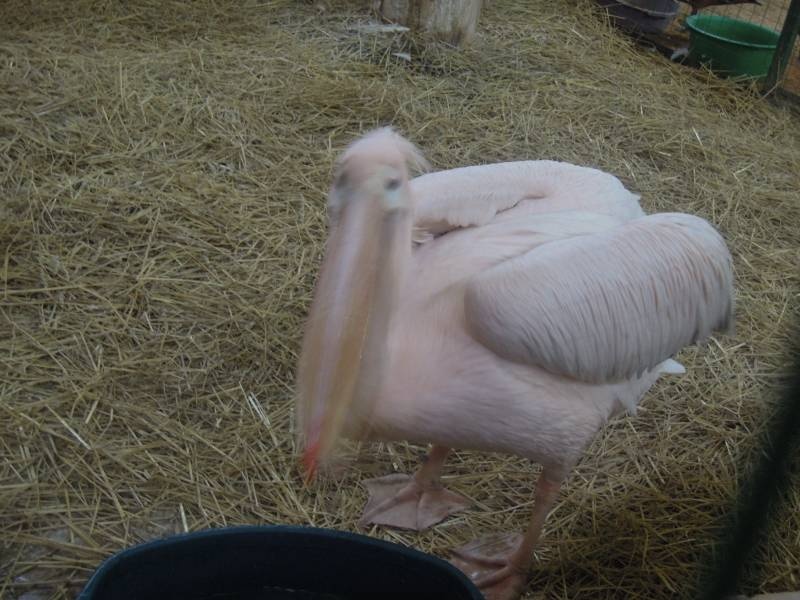 DSCN4959.JPG