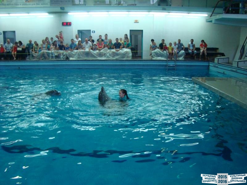 Мои летние путешествия!39634