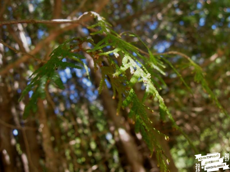 DSCN1605.JPG