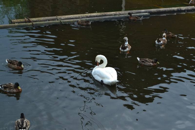 DSC_0647.JPG