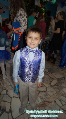 мои елки14564