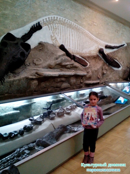 Музей естейственной истории Татарстана