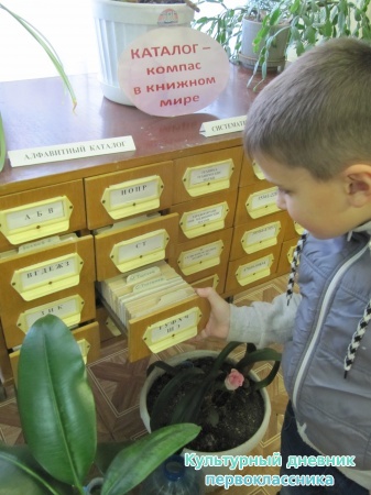 сельская библиотека