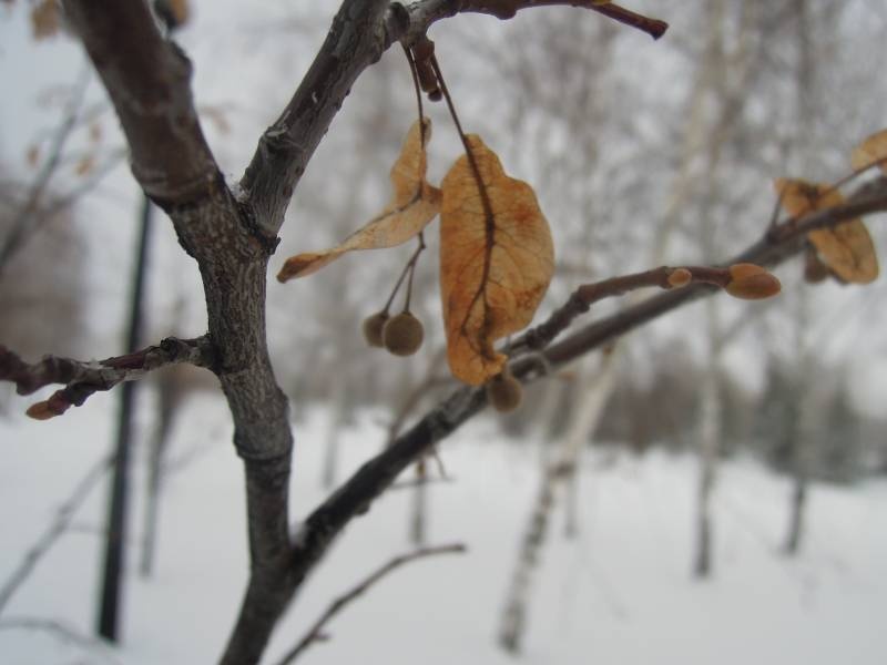 DSCN5300.JPG