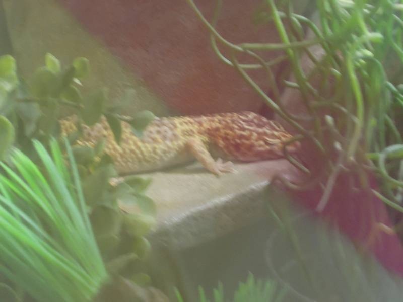 DSCN0401.JPG
