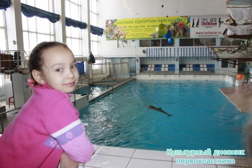 Дельфинарий17880