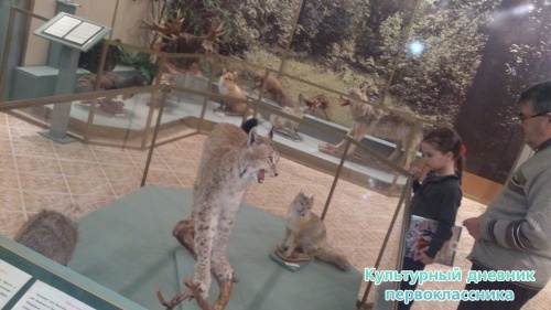 Актанышыбызның күрке - "Туган як" музеена сәяхәт!!!7358