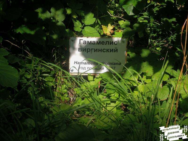 DSCN1591.JPG