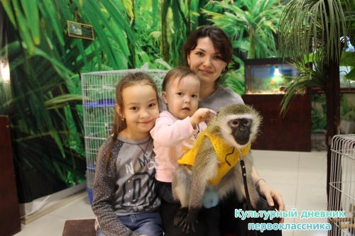 Мадагаскар выставка18130