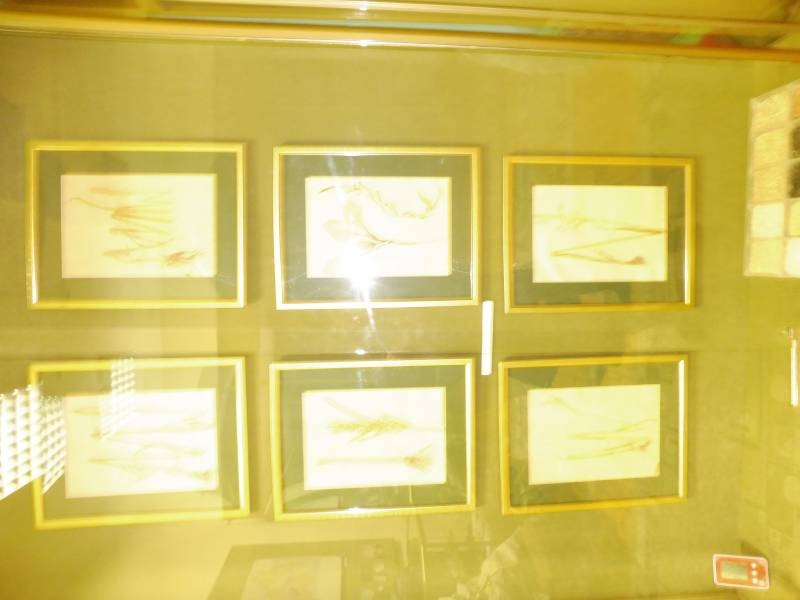 P1090314.JPG