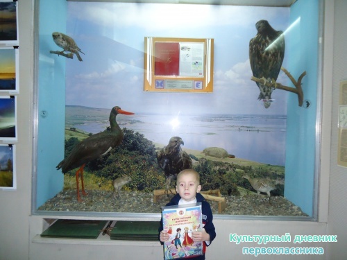 Ульяновский краеведческий музей имени И.А.Гончарова11755