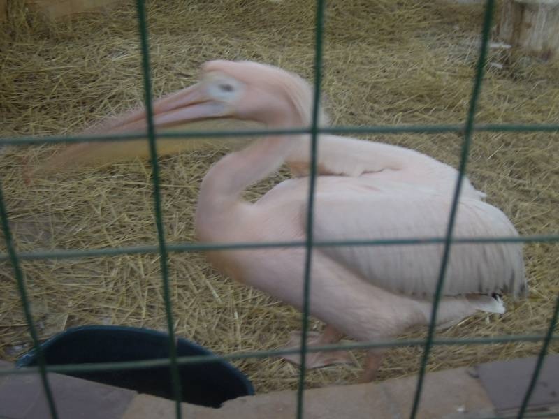 DSCN4962.JPG