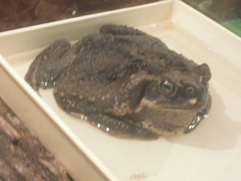 DSCN4850.JPG