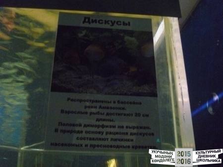 P1020840.JPG