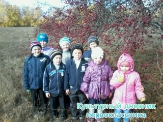 Алма бакчасында