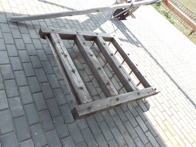 DSCN3506.JPG