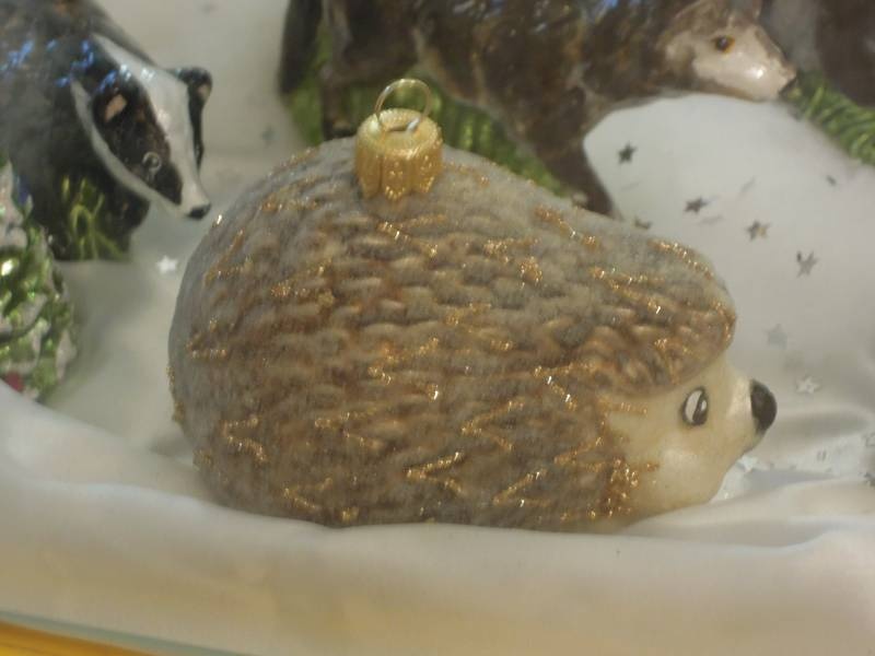 DSCN6960.JPG