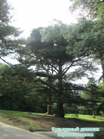 2013 065.JPG