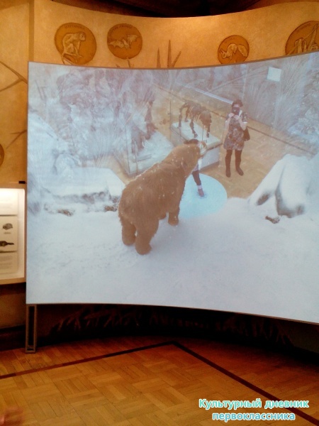 Музей естейственной истории Татарстана