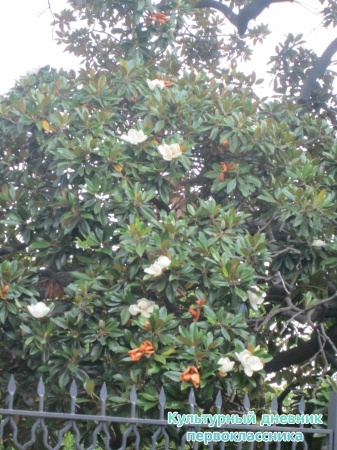 2013 023.JPG