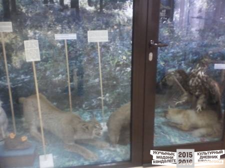 IMG_20160324_150152