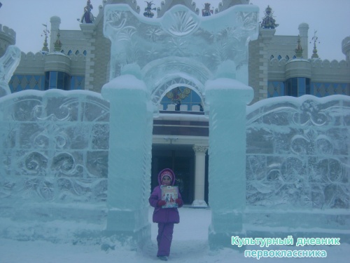 я и дневник17290