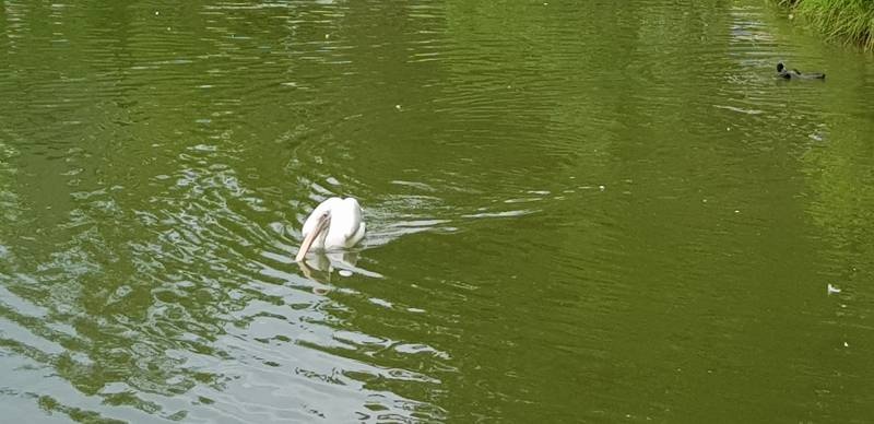 20190623_153107