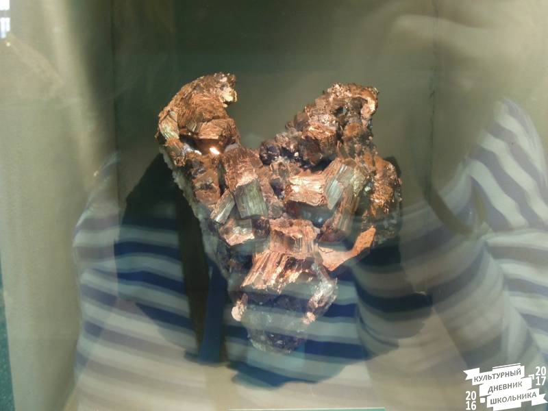 DSCN8535.JPG