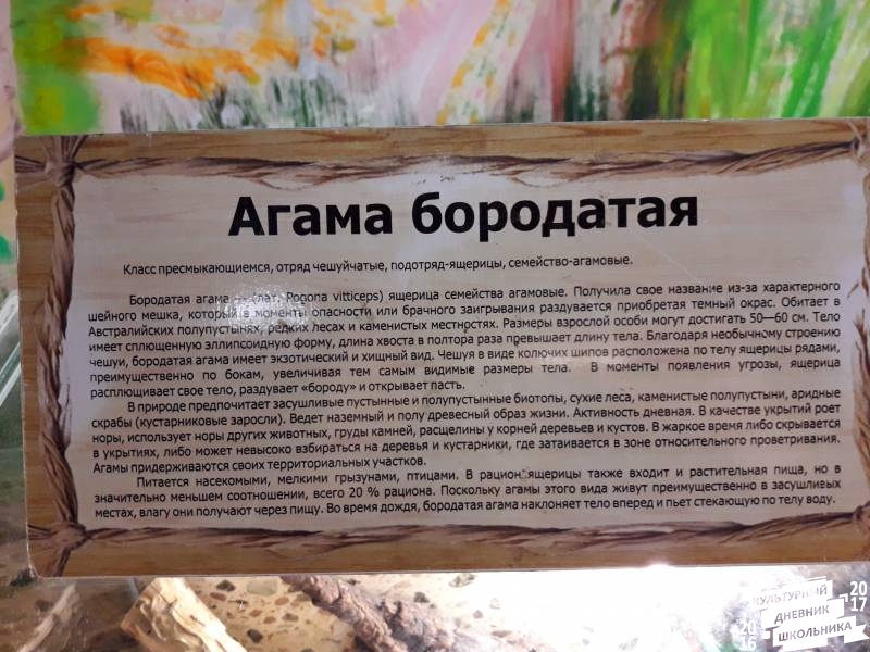 КК№46.Парк тропических бабочек.62358