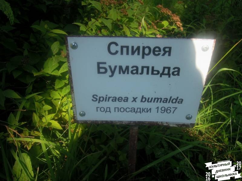 DSCN1639.JPG